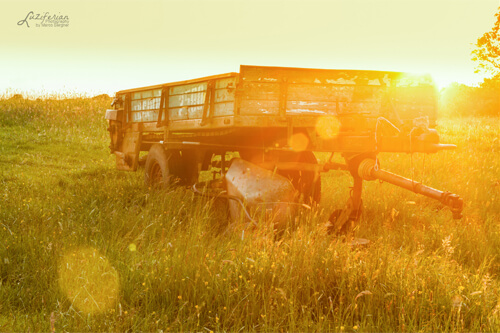 lens-flare-photography