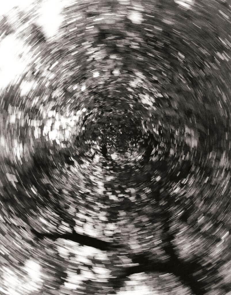 Nick Ares - Abstract Tree Blur