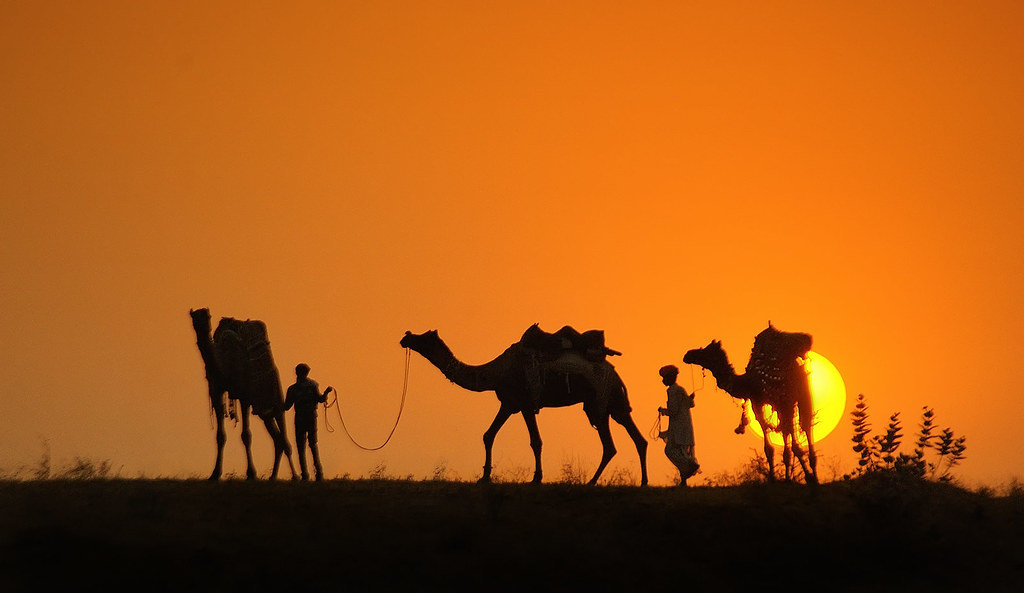 Nimit Nigam - Lets Go To Home...