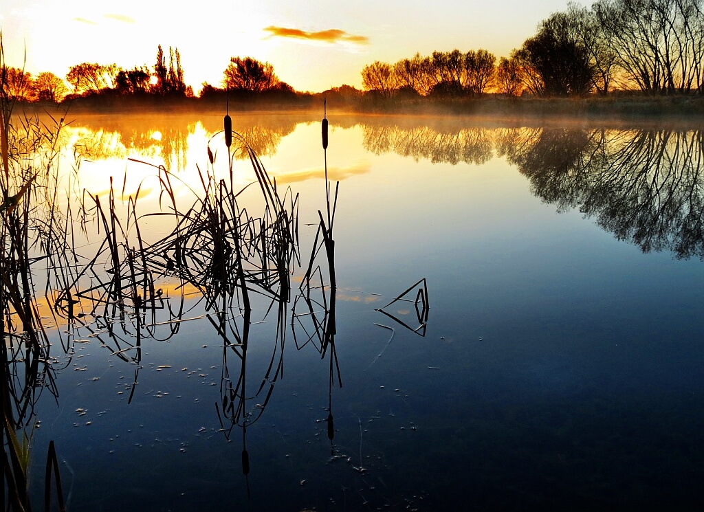 Robert Felton - Quiet Pool