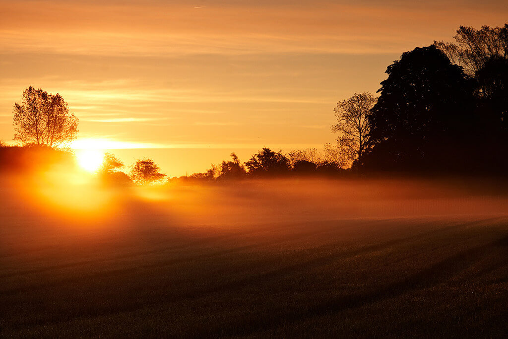 Michael Larsen - sun mist