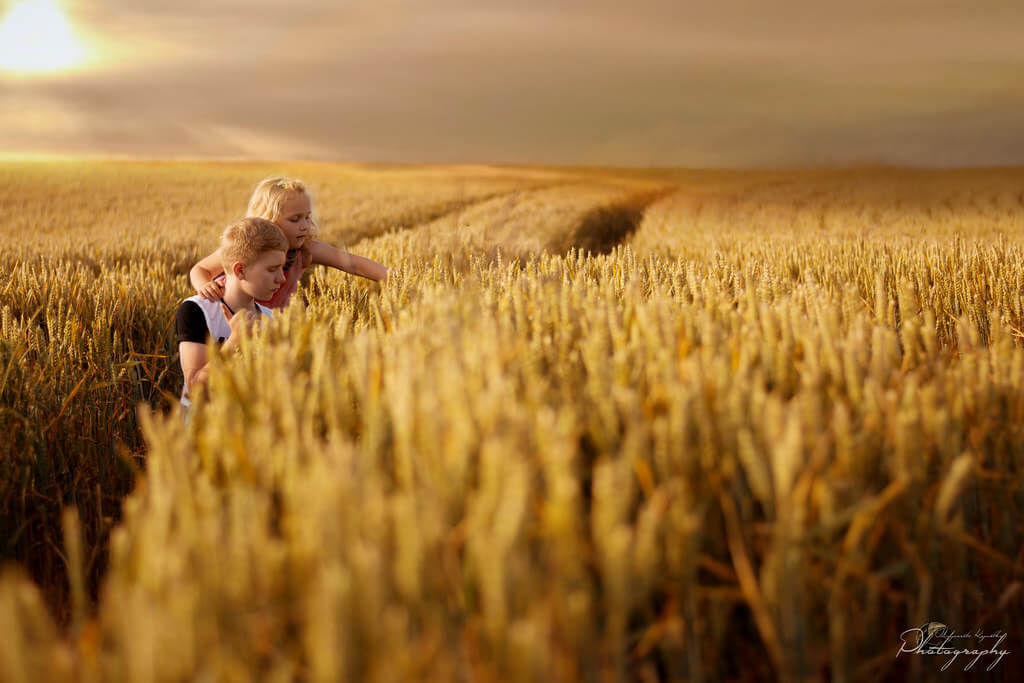 Malgorzata Kapustka - wheat field portrait