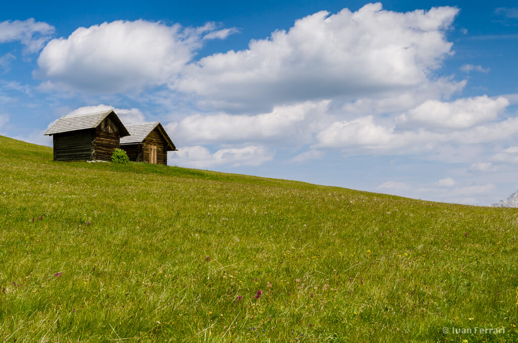 Ivan Ferrari - log cabin in field