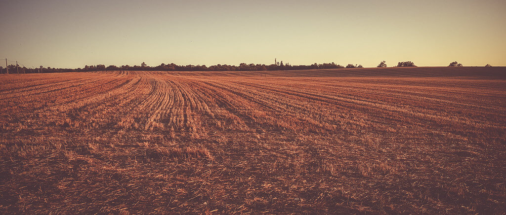 Noirathsi's Eye - harvested field