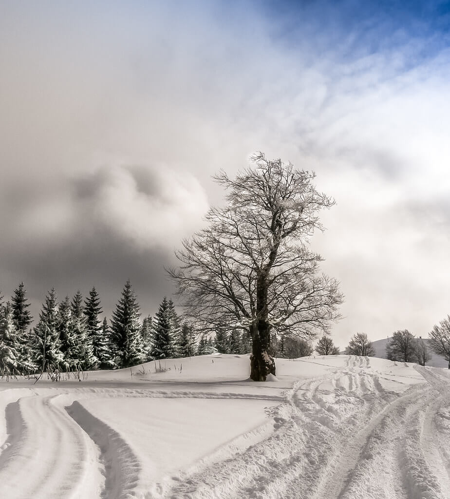 Елена Пејчинова - Snow Paths