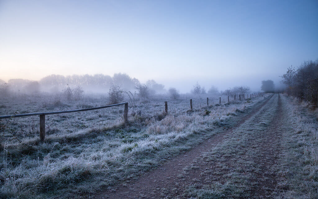 Marco Bergner - frost, fog and road