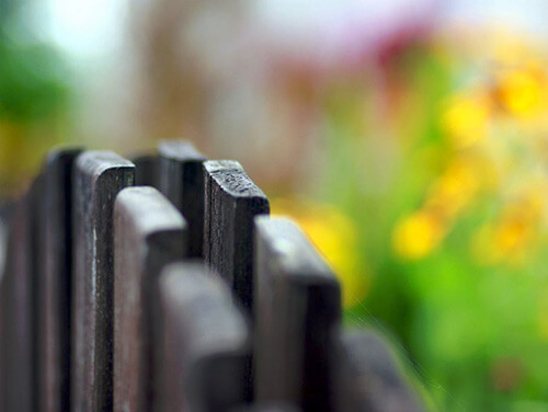 fence photography
