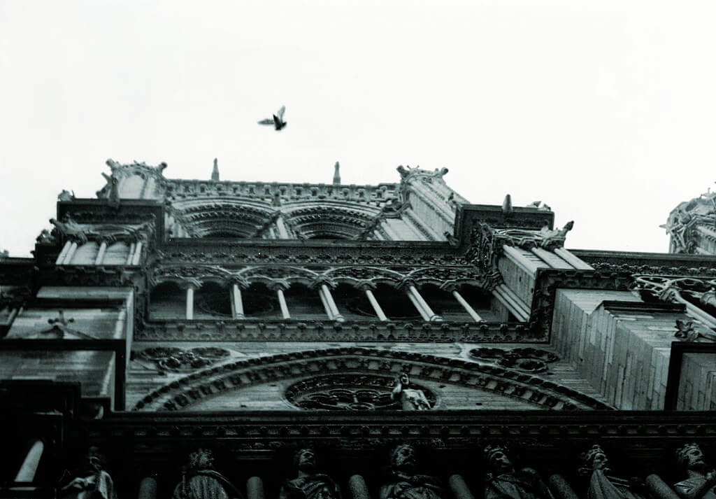 VV Nincic - Notre-Dame Pigeon