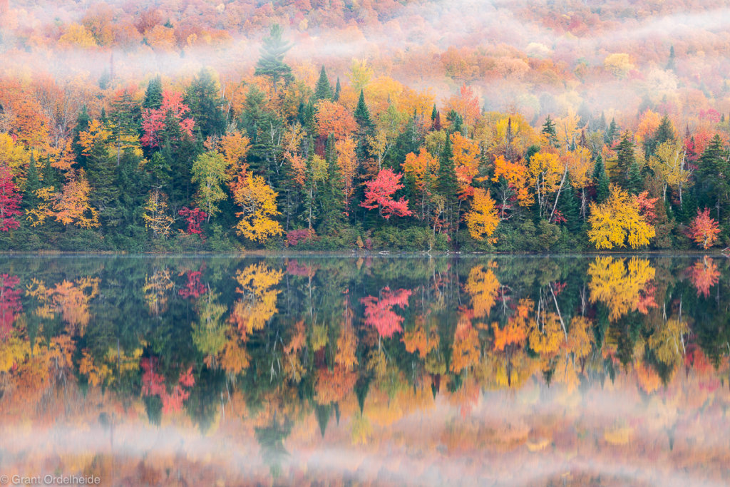 Connery Pond Reflection