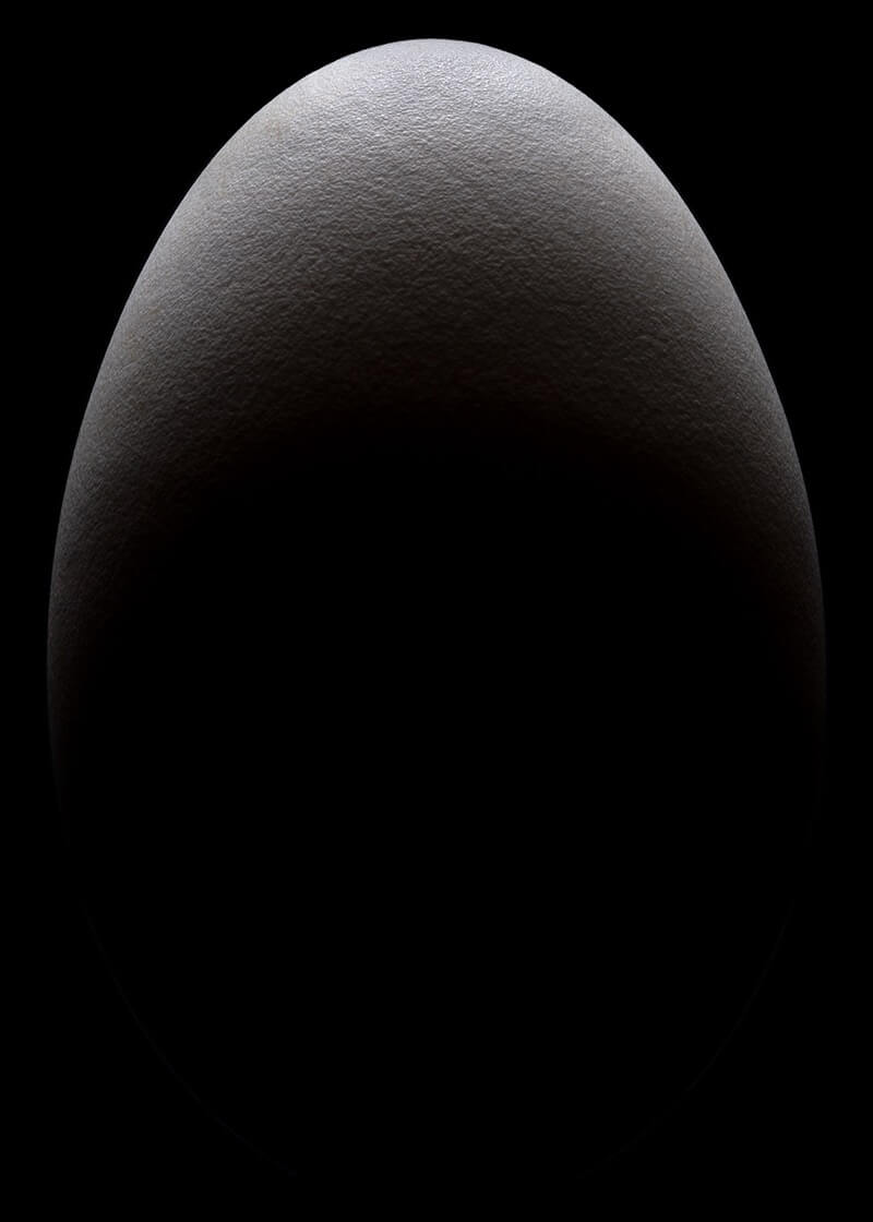 Paul Ransome - Goose Egg