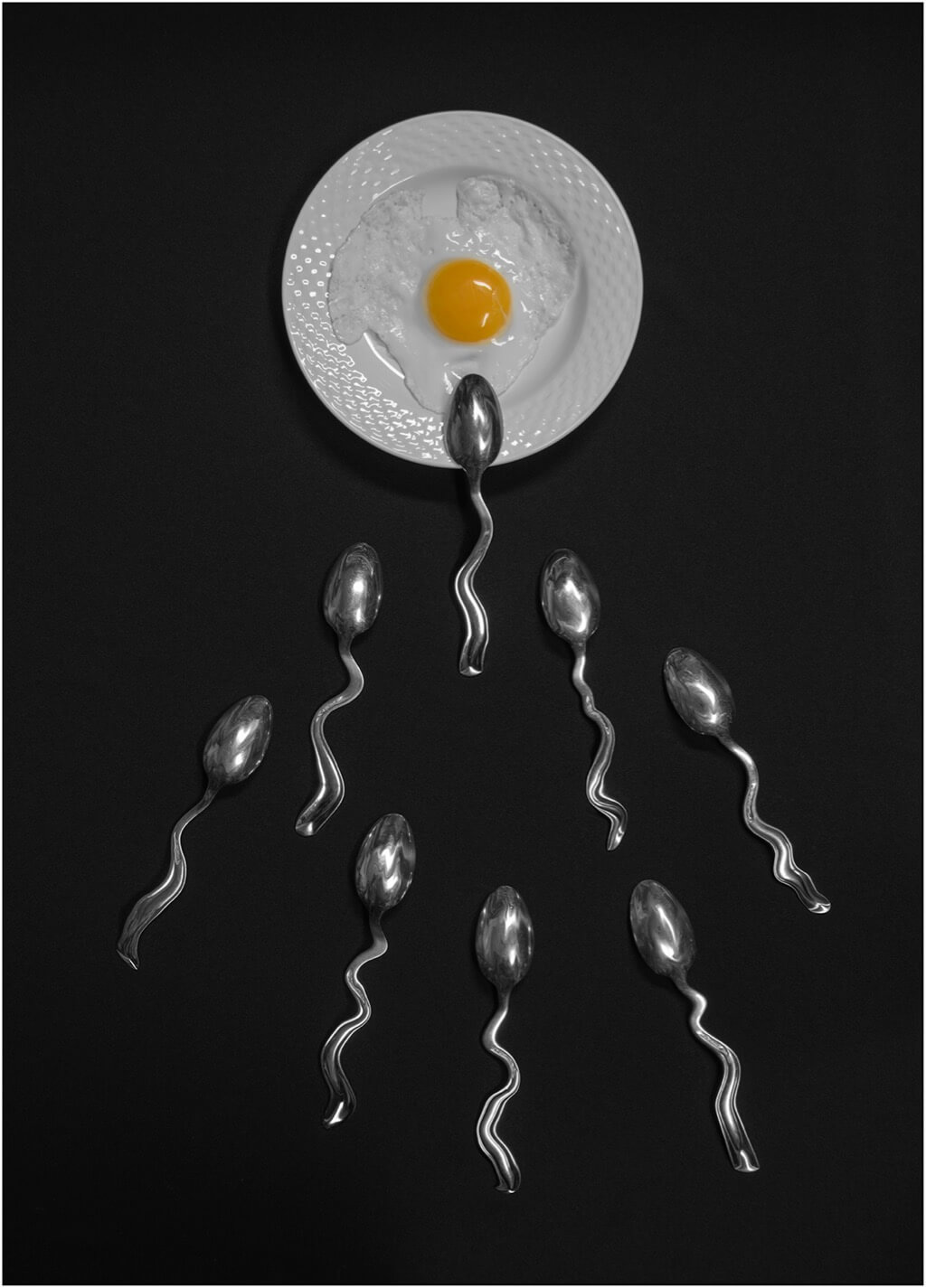 Paula Greco - No Comment