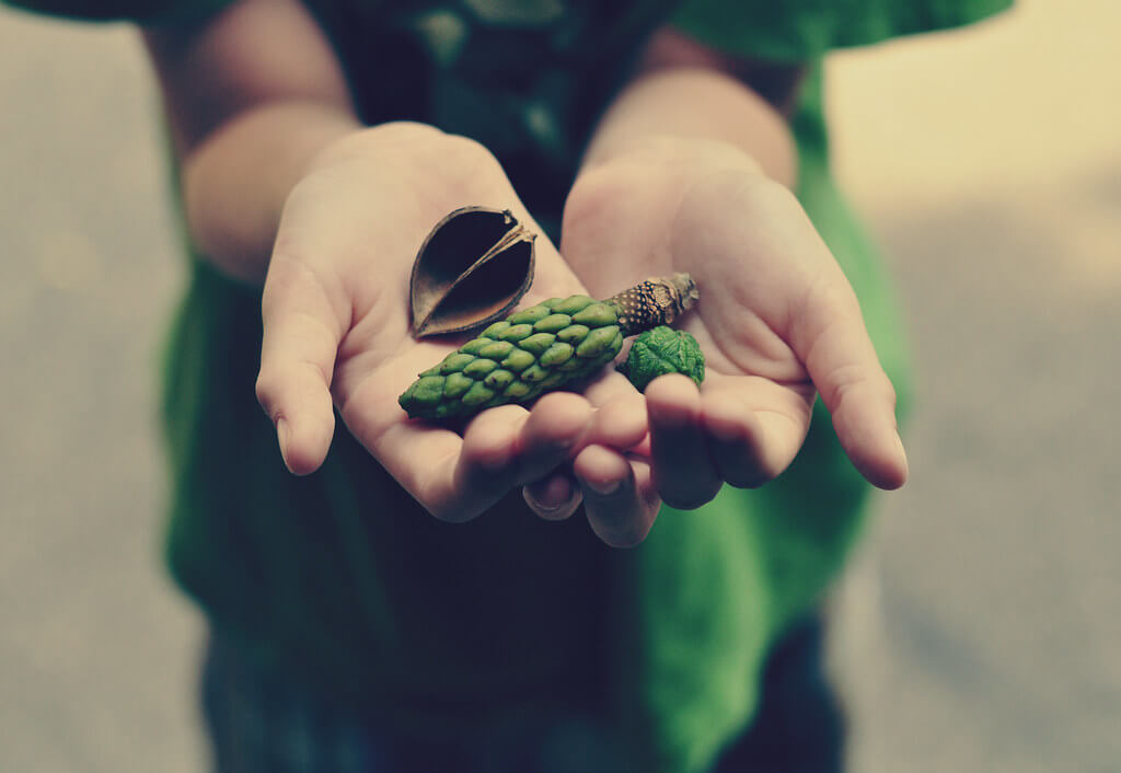 jordan parks - hand holding nature
