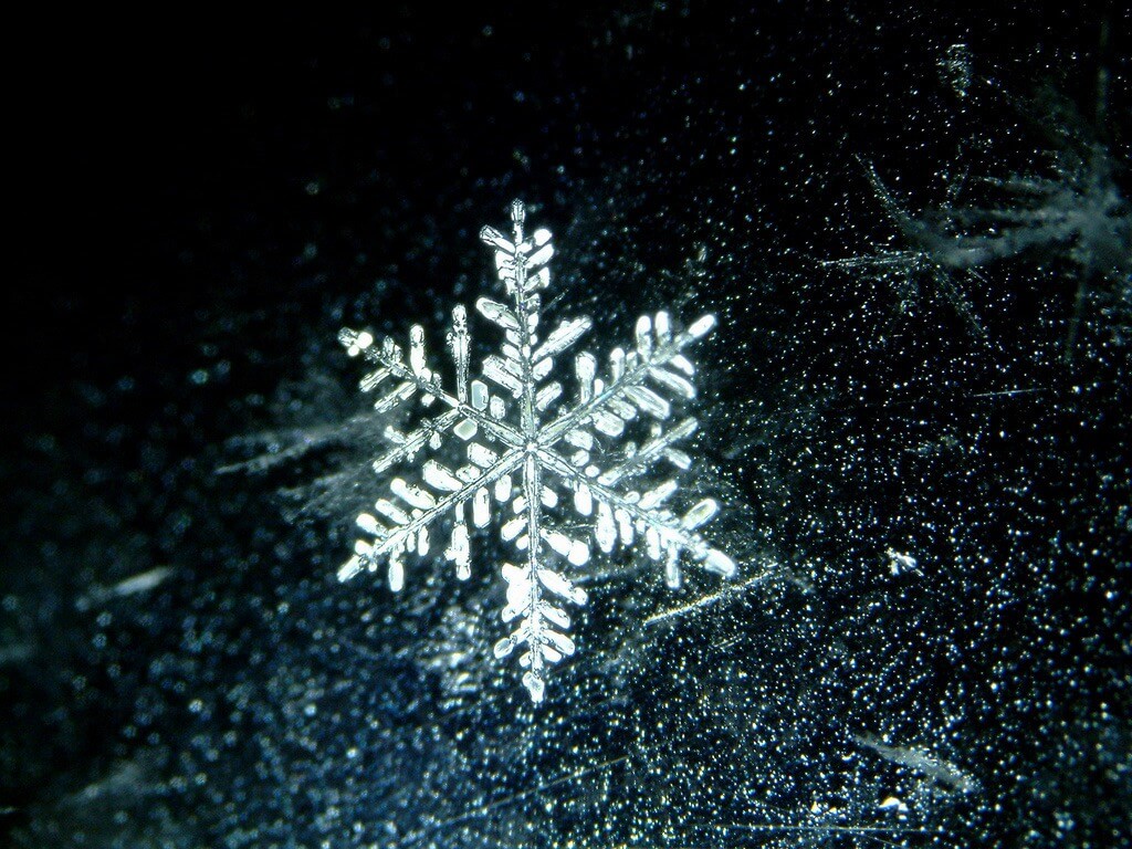snowflake black background