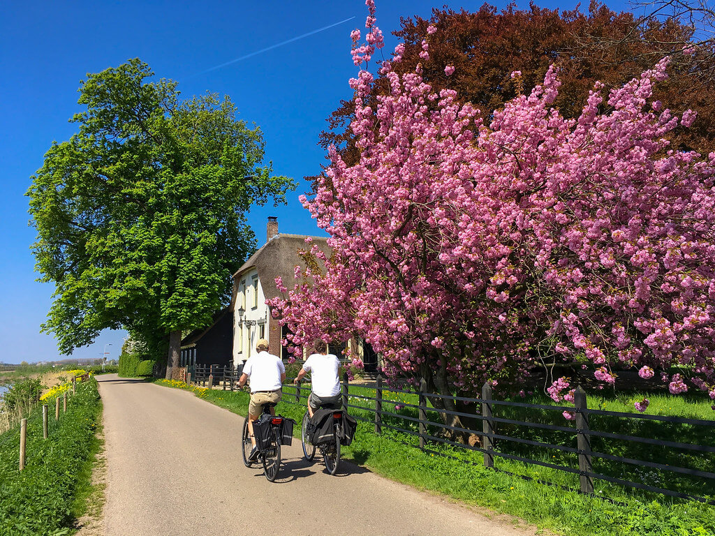 Ferry Noothout - Betuwe in spring