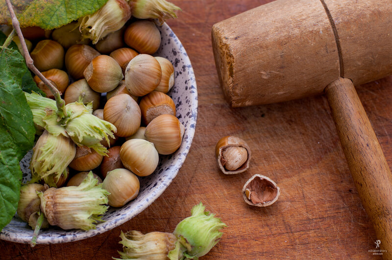 still life photography hazelnuts