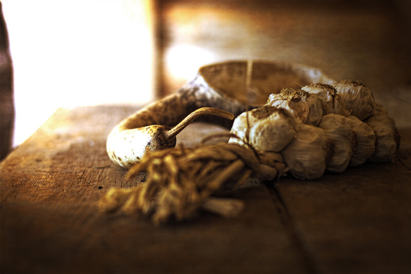 still life photography garlic and dust