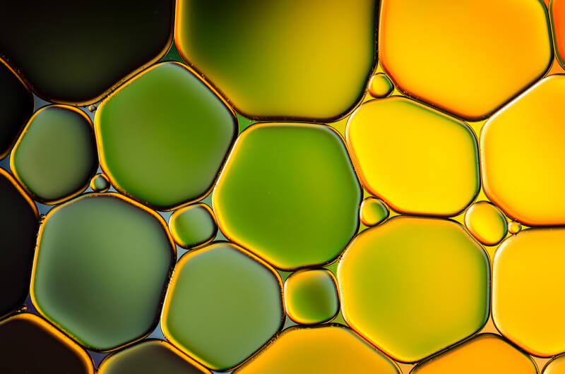 still life photography water and oil