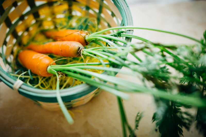 still life photography three carrots