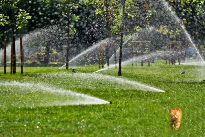 Sebnem Gulfidan - Artificial summer rain