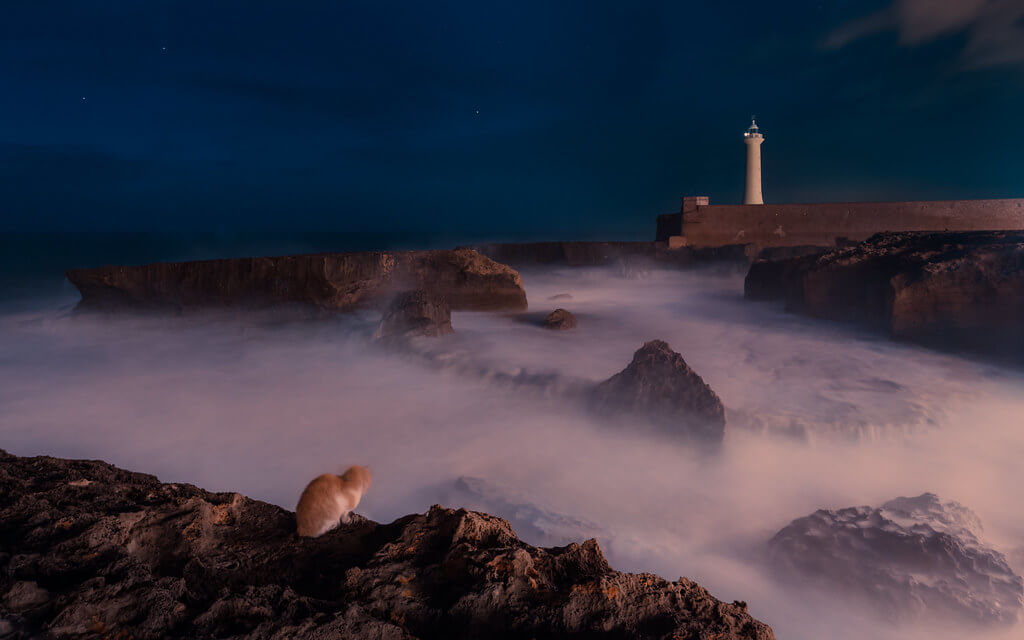 Amine Fassi - Long Exposure Cat